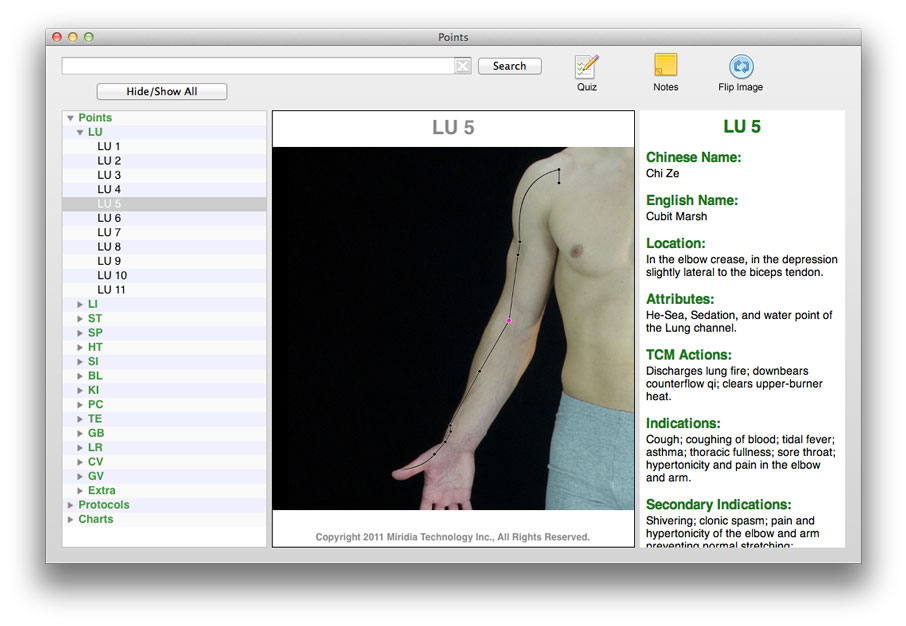 Points PC Acupuncture Reference Software on your Computer